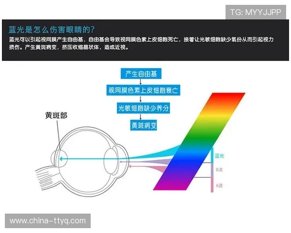 视网膜投影技术研究突破屏幕尺寸限制 视网膜投影技术研究突破屏幕尺寸限制